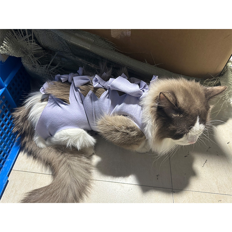 Μετεγχειρητικό ρούχο γάτας μετά από στείρωση — αναπνεύσιμο 100% βαμβάκι, στυλ Πριγκίπισσα, μάρκα Yuyou