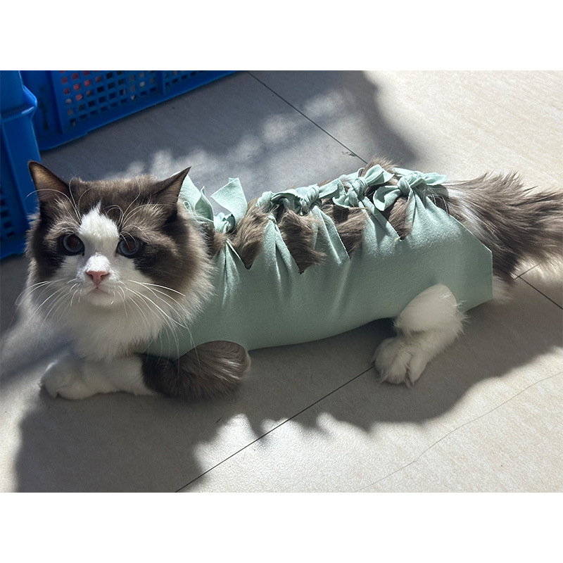 Μετεγχειρητικό ρούχο γάτας μετά από στείρωση — αναπνεύσιμο 100% βαμβάκι, στυλ Πριγκίπισσα, μάρκα Yuyou
