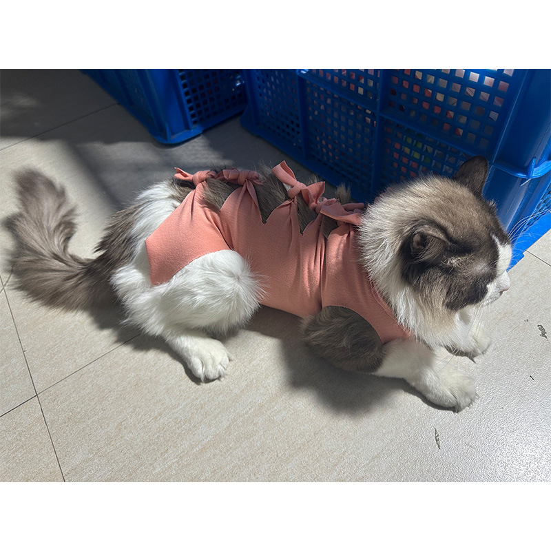 Μετεγχειρητικό ρούχο γάτας μετά από στείρωση — αναπνεύσιμο 100% βαμβάκι, στυλ Πριγκίπισσα, μάρκα Yuyou