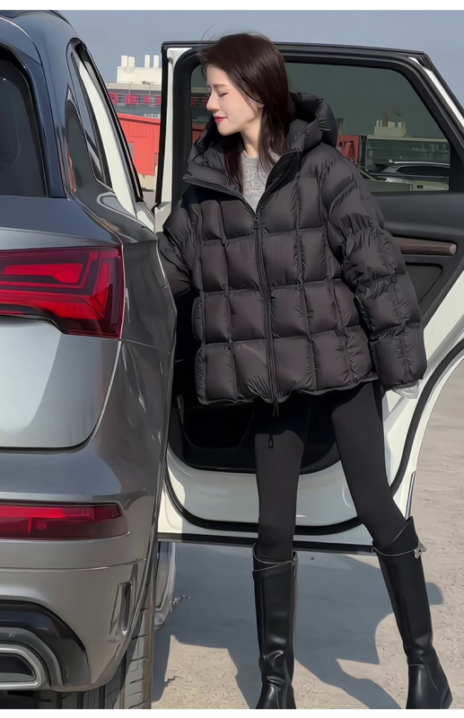 Ženska jakna od down pamuka s kapuljom, širok kroj, standardna duljina 50–65 cm, zip