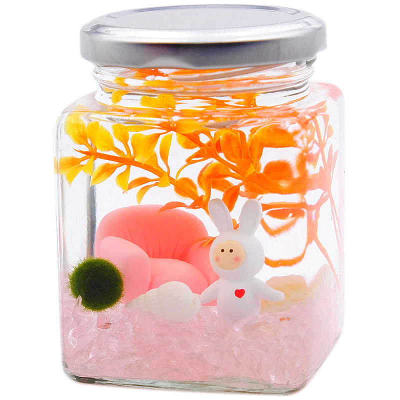 Warm dream Стъклен мини террариум с маримо - хидропонен микропейзаж, подарък