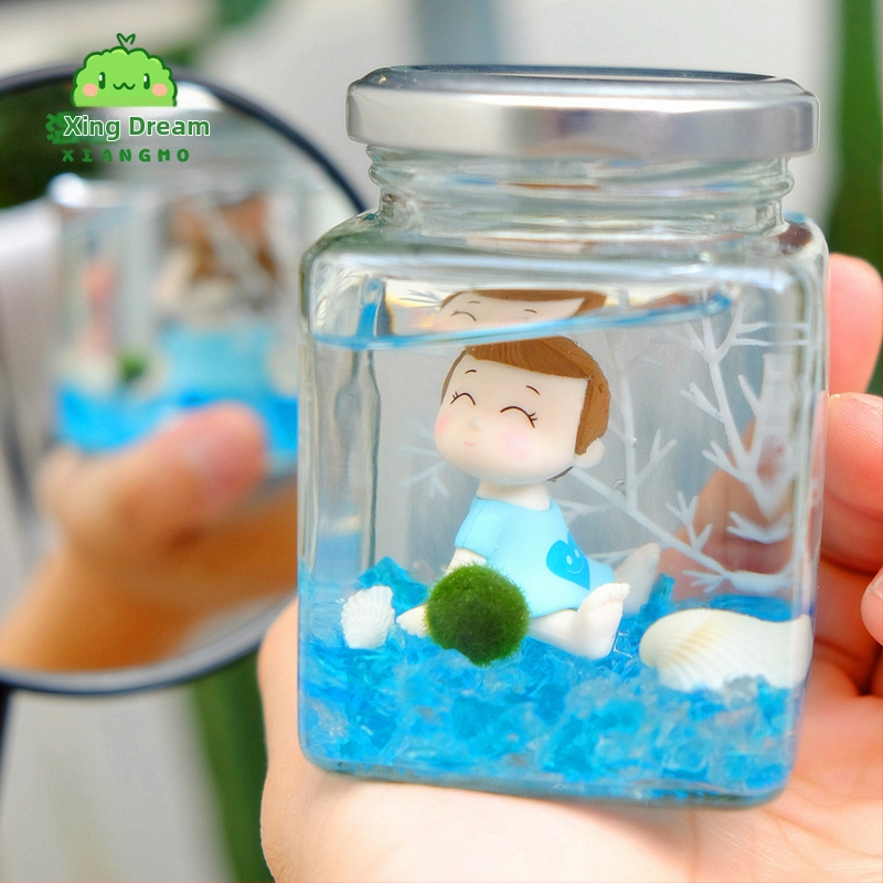 Warm dream Стъклен мини террариум с маримо - хидропонен микропейзаж, подарък