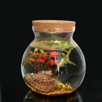 Хидропонна ваза за растения от високо боросиликатно стъкло, духана, персонализируема