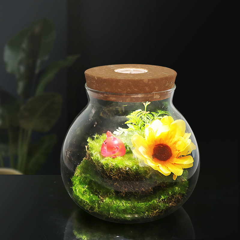 Хидропонна ваза за растения от високо боросиликатно стъкло, духана, персонализируема