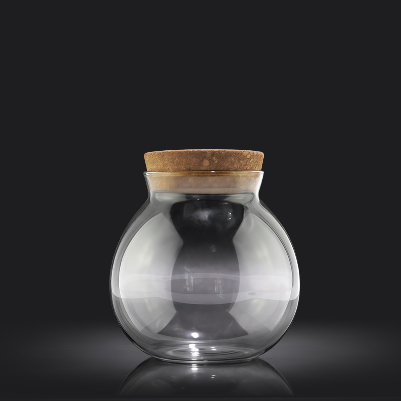 Хидропонна ваза за растения от високо боросиликатно стъкло, духана, персонализируема