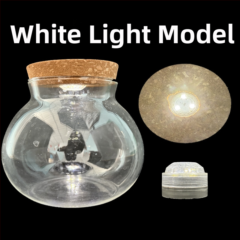 Хидропонна ваза за растения от високо боросиликатно стъкло, духана, персонализируема