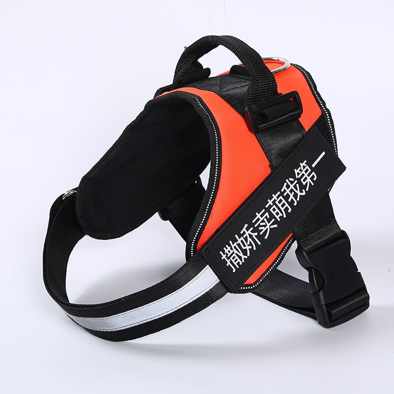 Mellkasi hám háziállatok számára, anyag: textil, eredet: Zhejiang, kategória: mellkasi hám, magáncímke elérhető