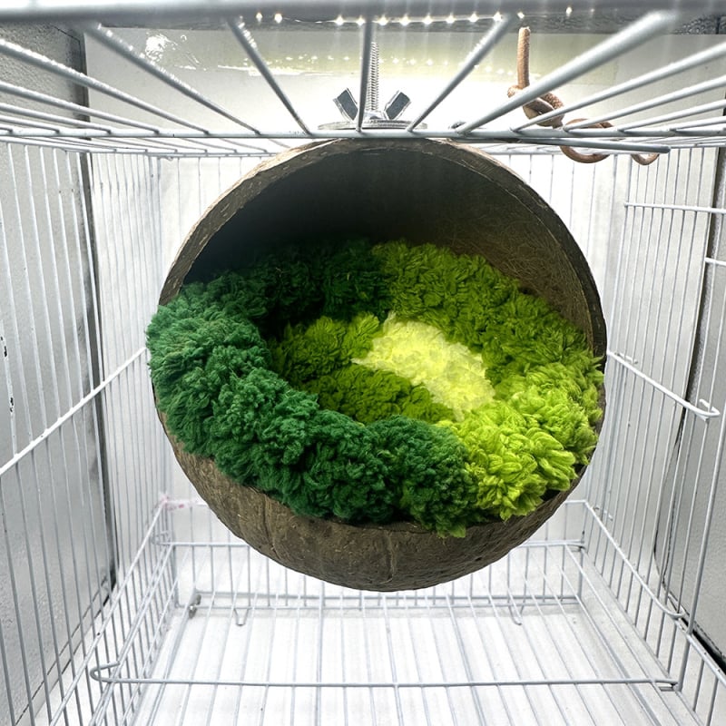 Cuib din lemn pentru păsări de companie, fabricat în Zhejiang