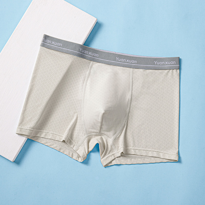 Muške gaćice Ice Silk za tinejdžere, ljeto, prozračne mrežaste, 93% najlona