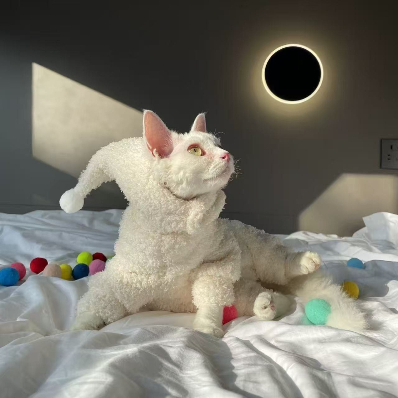 Rila aranyos téli négylábú háziállat ruha – poliészter-pamut