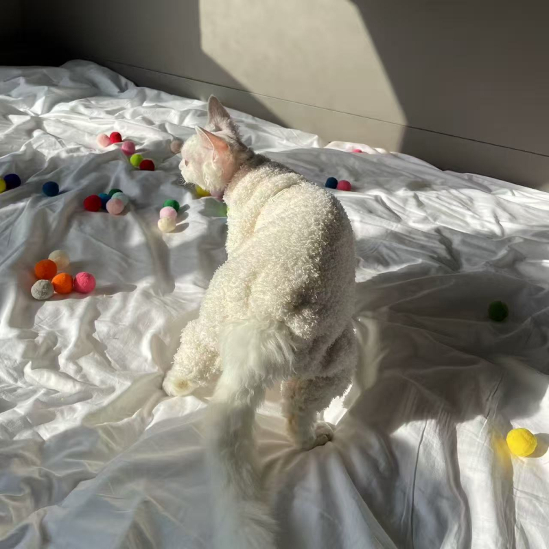 Rila aranyos téli négylábú háziállat ruha – poliészter-pamut