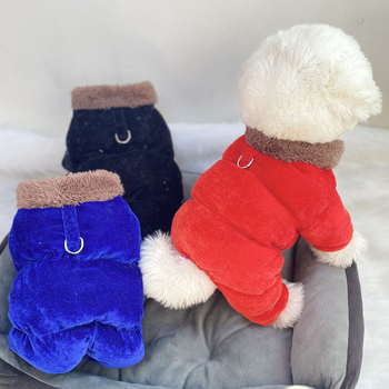 Beggar cat bársonyos pamut kabát állatoknak — poliészter, mindennapi stílus, téli viselet