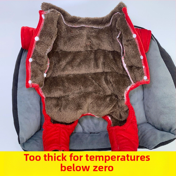 Beggar cat bársonyos pamut kabát állatoknak — poliészter, mindennapi stílus, téli viselet