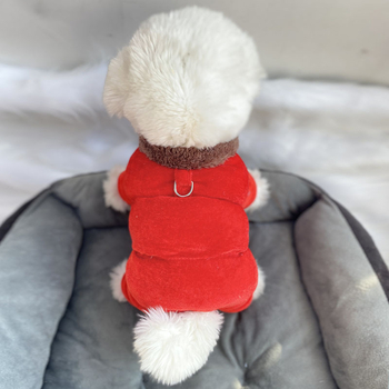 Beggar cat bársonyos pamut kabát állatoknak — poliészter, mindennapi stílus, téli viselet