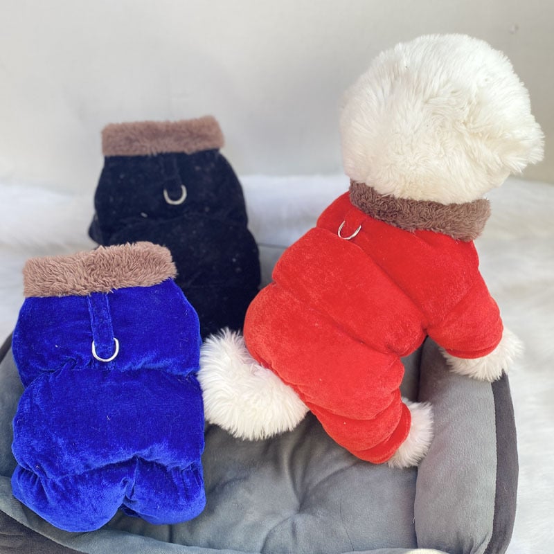 Beggar cat bársonyos pamut kabát állatoknak — poliészter, mindennapi stílus, téli viselet