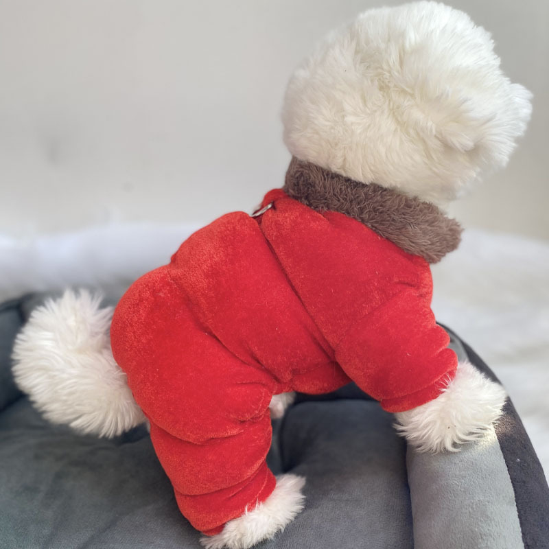 Beggar cat bársonyos pamut kabát állatoknak — poliészter, mindennapi stílus, téli viselet