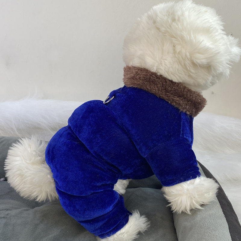 Beggar cat bársonyos pamut kabát állatoknak — poliészter, mindennapi stílus, téli viselet