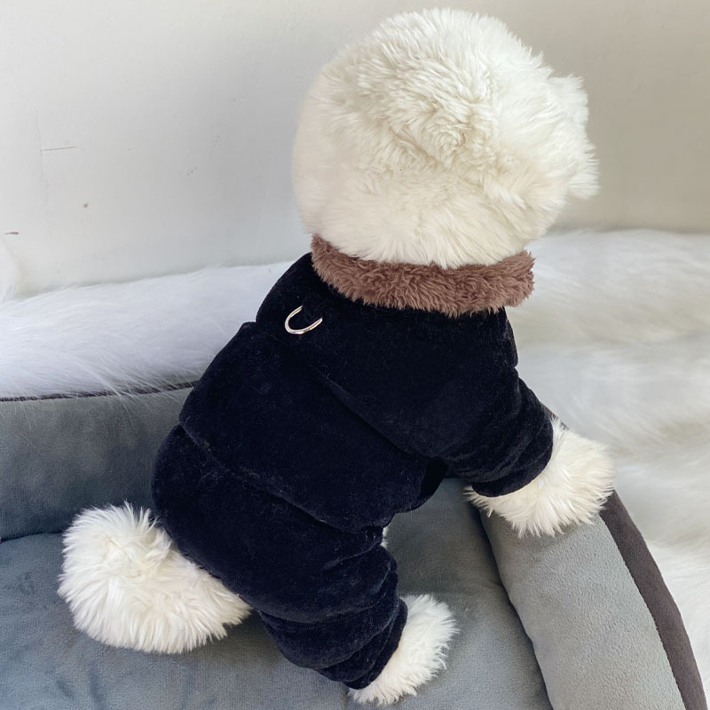 Beggar cat bársonyos pamut kabát állatoknak — poliészter, mindennapi stílus, téli viselet