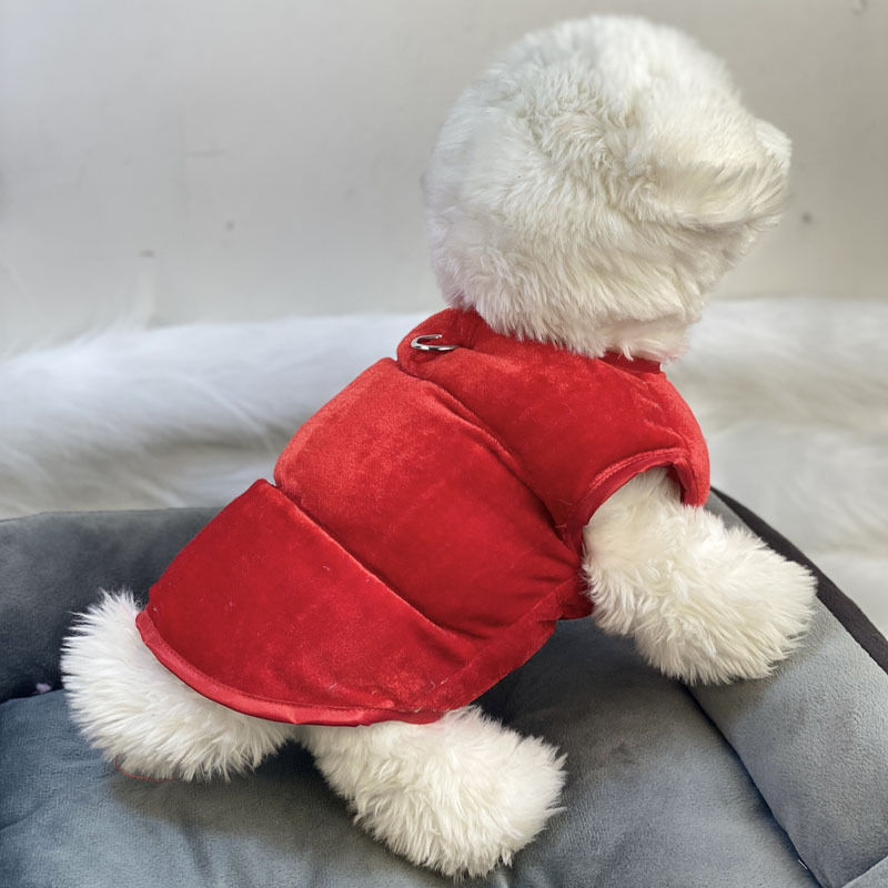 Beggar cat bársonyos pamut kabát állatoknak — poliészter, mindennapi stílus, téli viselet