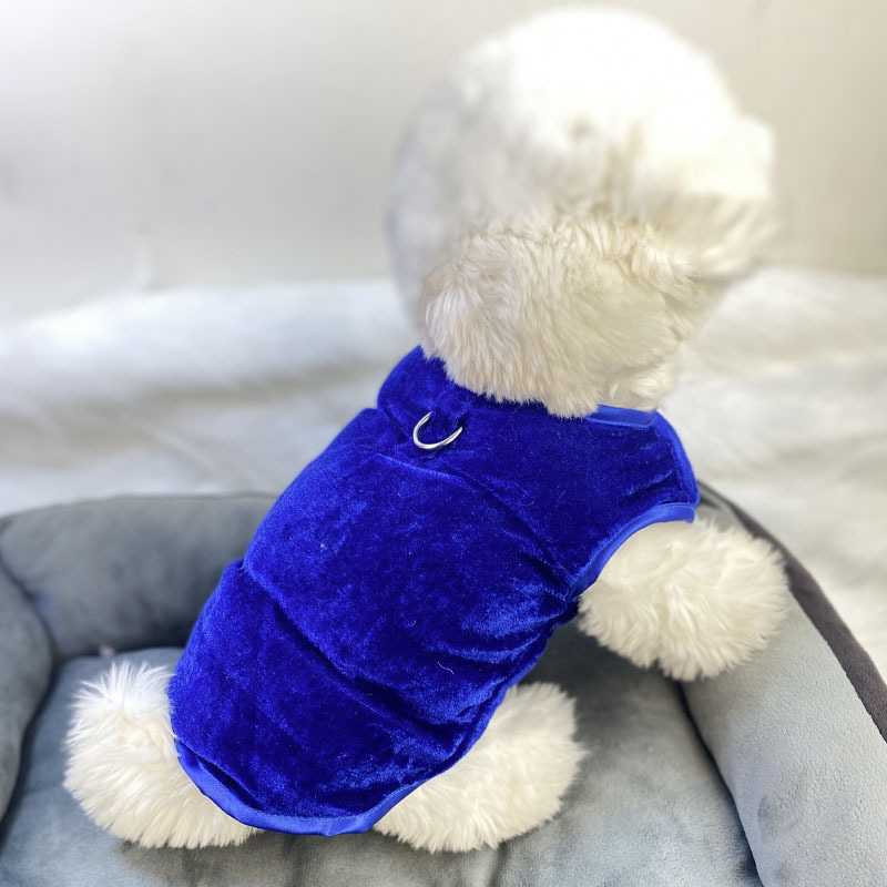 Beggar cat bársonyos pamut kabát állatoknak — poliészter, mindennapi stílus, téli viselet