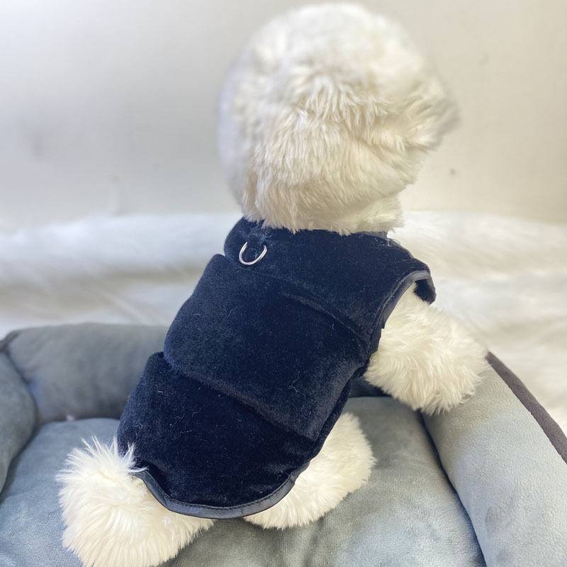 Beggar cat bársonyos pamut kabát állatoknak — poliészter, mindennapi stílus, téli viselet