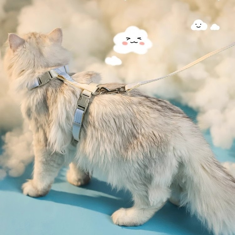 Lesă și ham pentru pisici, în formă de I, anti-evadare - nailon