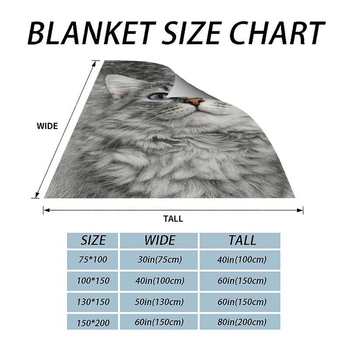 Flanel pléd Hongyue (Poliészter; 230 g; Négy évszak; Modern egyszerűség)