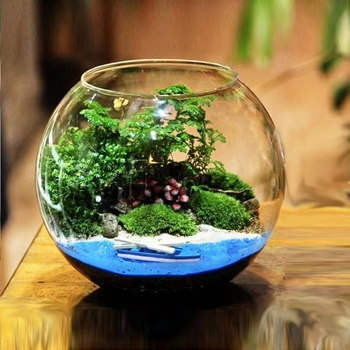 Кръгла стъклена ваза за хидропоника със сукуленти – издухано стъкло, полирана повърхност, персонализиране, печат на лого (стъкло; издухано; полирана повърхност; персонализиране; печат на лого)