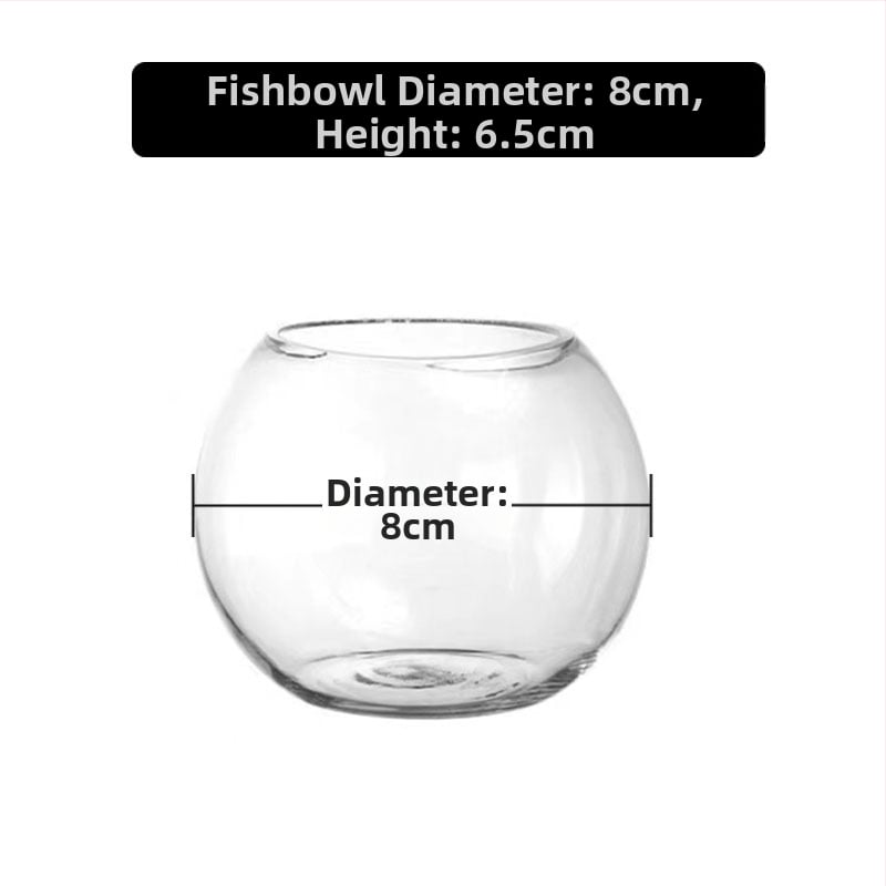 Кръгла стъклена ваза за хидропоника със сукуленти – издухано стъкло, полирана повърхност, персонализиране, печат на лого (стъкло; издухано; полирана повърхност; персонализиране; печат на лого)