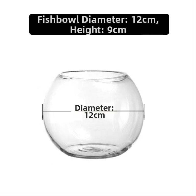 Кръгла стъклена ваза за хидропоника със сукуленти – издухано стъкло, полирана повърхност, персонализиране, печат на лого (стъкло; издухано; полирана повърхност; персонализиране; печат на лого)