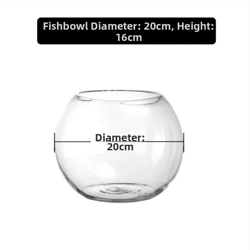 Кръгла стъклена ваза за хидропоника със сукуленти – издухано стъкло, полирана повърхност, персонализиране, печат на лого (стъкло; издухано; полирана повърхност; персонализиране; печат на лого)