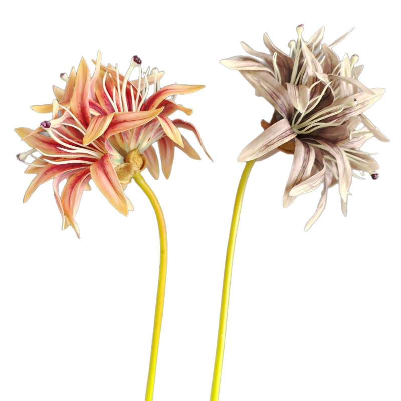 Изкуствена орхидея топка - единична клонка, пауча орхидея топка, модерен поп стил (Стилизиране; Релеф; Ситопечат; 3D печат)