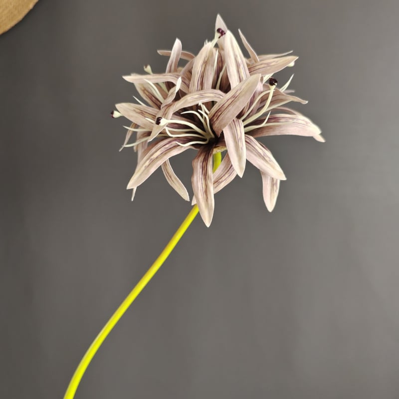 Изкуствена орхидея топка - единична клонка, пауча орхидея топка, модерен поп стил (Стилизиране; Релеф; Ситопечат; 3D печат)