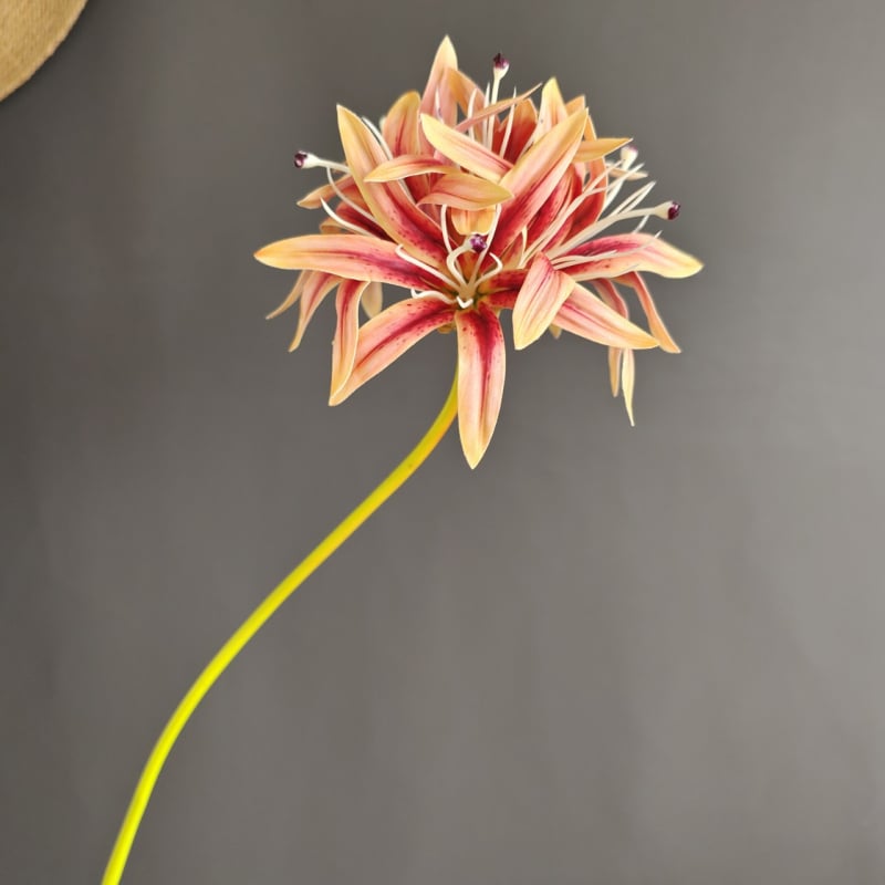 Изкуствена орхидея топка - единична клонка, пауча орхидея топка, модерен поп стил (Стилизиране; Релеф; Ситопечат; 3D печат)