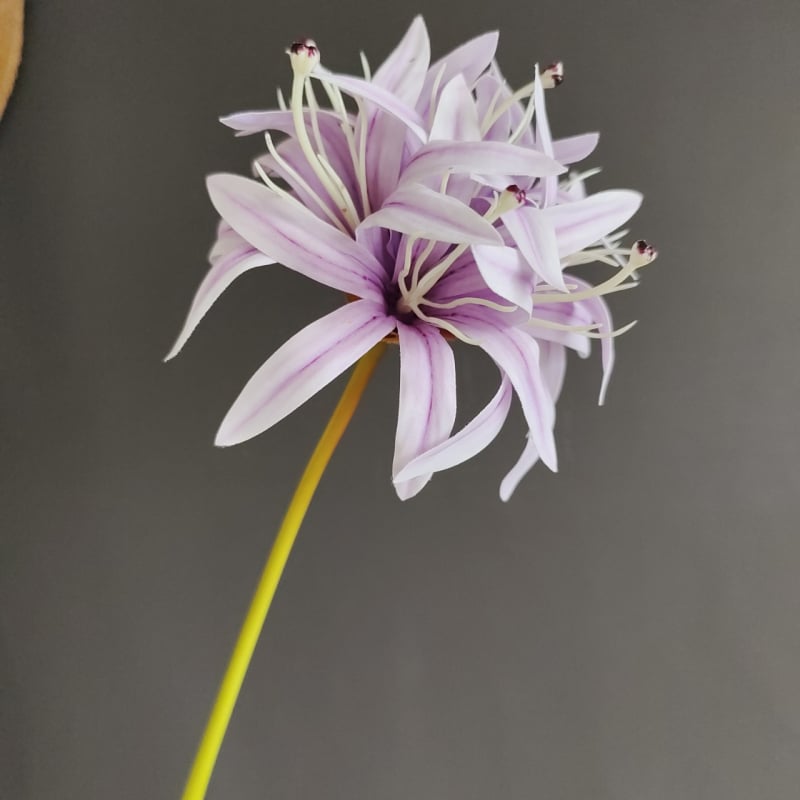 Изкуствена орхидея топка - единична клонка, пауча орхидея топка, модерен поп стил (Стилизиране; Релеф; Ситопечат; 3D печат)