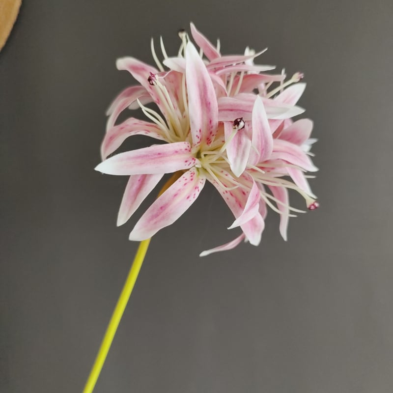 Изкуствена орхидея топка - единична клонка, пауча орхидея топка, модерен поп стил (Стилизиране; Релеф; Ситопечат; 3D печат)