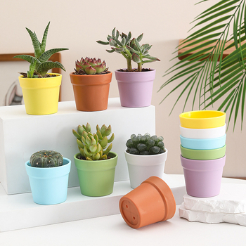 Бутилка за засаждане на сукуленти с контрол на корените | Пластмасов съд за микро ландшафт | Марка Friendly | Модерен минималистичен дизайн | Неутрален светлинен режим и полив