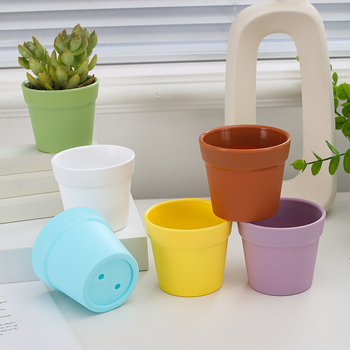 Бутилка за засаждане на сукуленти с контрол на корените | Пластмасов съд за микро ландшафт | Марка Friendly | Модерен минималистичен дизайн | Неутрален светлинен режим и полив