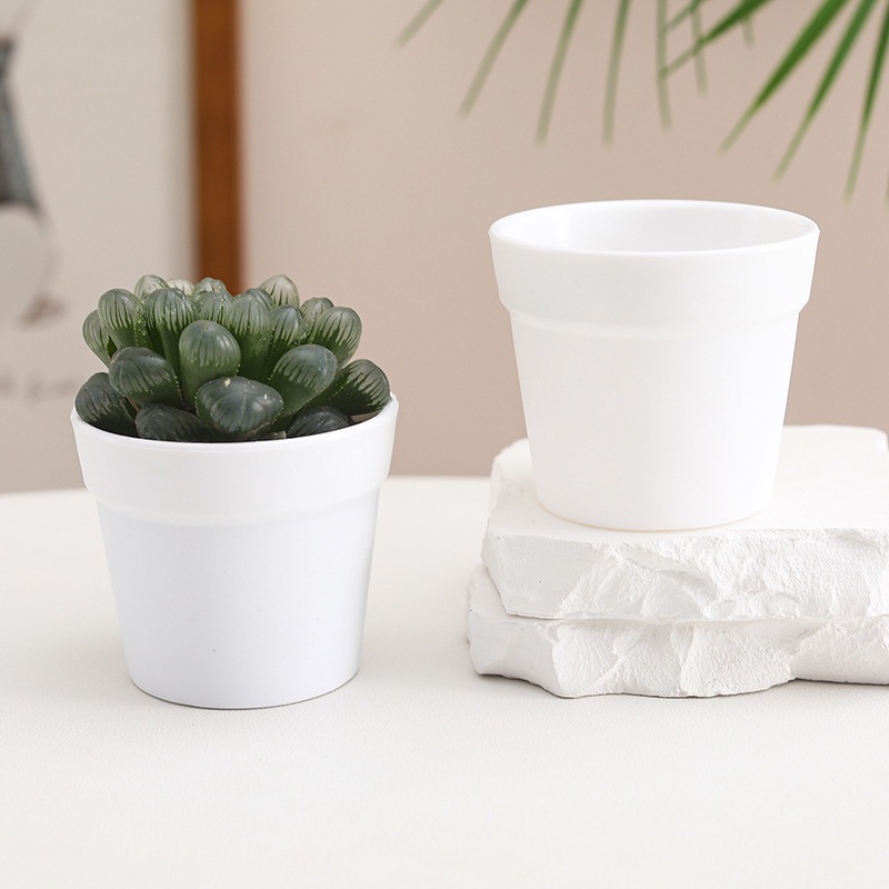 Бутилка за засаждане на сукуленти с контрол на корените | Пластмасов съд за микро ландшафт | Марка Friendly | Модерен минималистичен дизайн | Неутрален светлинен режим и полив