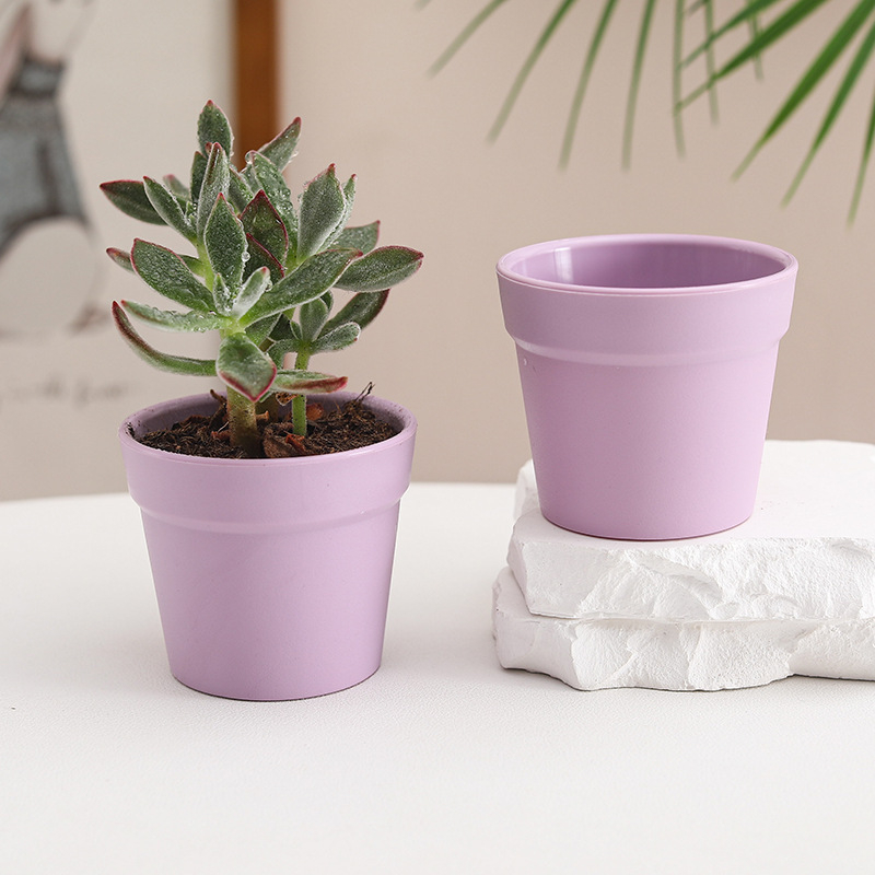 Бутилка за засаждане на сукуленти с контрол на корените | Пластмасов съд за микро ландшафт | Марка Friendly | Модерен минималистичен дизайн | Неутрален светлинен режим и полив