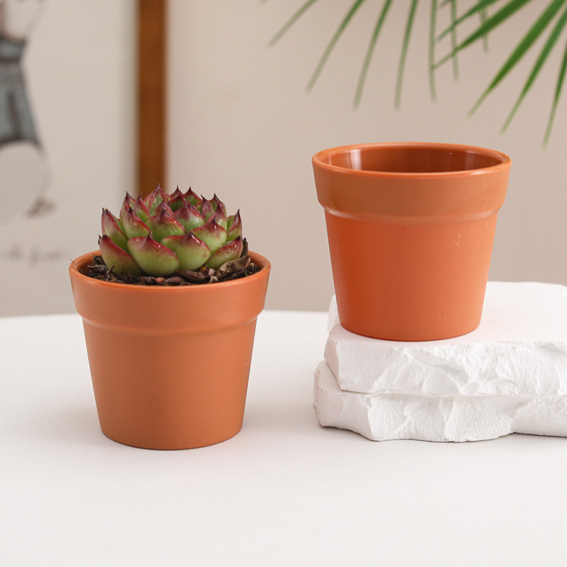 Бутилка за засаждане на сукуленти с контрол на корените | Пластмасов съд за микро ландшафт | Марка Friendly | Модерен минималистичен дизайн | Неутрален светлинен режим и полив