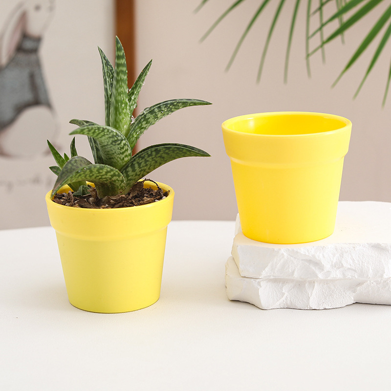 Бутилка за засаждане на сукуленти с контрол на корените | Пластмасов съд за микро ландшафт | Марка Friendly | Модерен минималистичен дизайн | Неутрален светлинен режим и полив