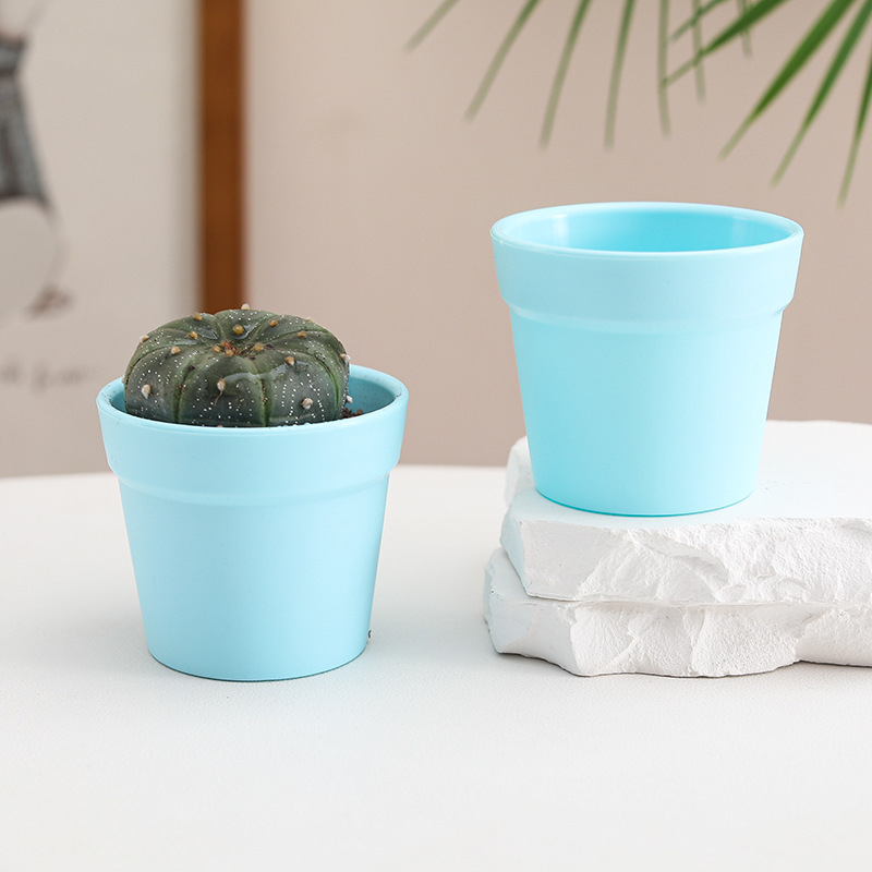 Бутилка за засаждане на сукуленти с контрол на корените | Пластмасов съд за микро ландшафт | Марка Friendly | Модерен минималистичен дизайн | Неутрален светлинен режим и полив