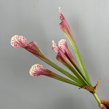 Selyemvirágokból készült csokor Nepenthes mesterséges növényi kiegészítőkkel, injekciós öntés és 3D nyomtatás által készítve, esküvőkre, kültéri helyszínekre, fotórekvizitumokra és otthoni dekorációra, független márka