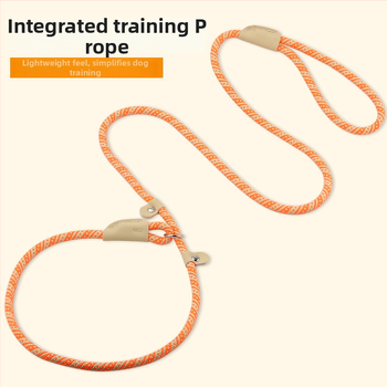 Кучешка каишка с универсална катарама, нейлонова, Hartley, възможност за частен етикет