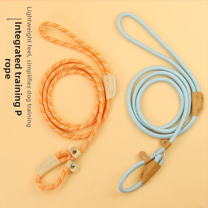 Кучешка каишка с универсална катарама, нейлонова, Hartley, възможност за частен етикет