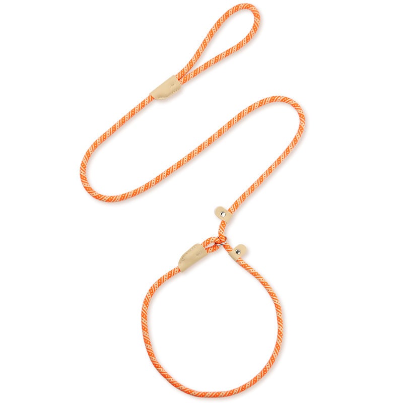 Кучешка каишка с универсална катарама, нейлонова, Hartley, възможност за частен етикет