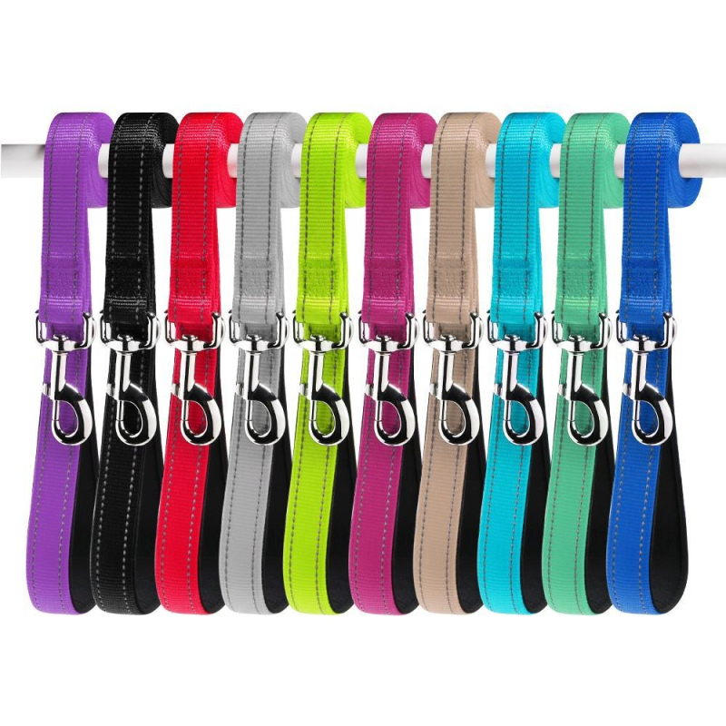 Каишка за големи кучета, антишокова, светлоотразителна, плетена за дресура, за нощни разходки, нейлонова