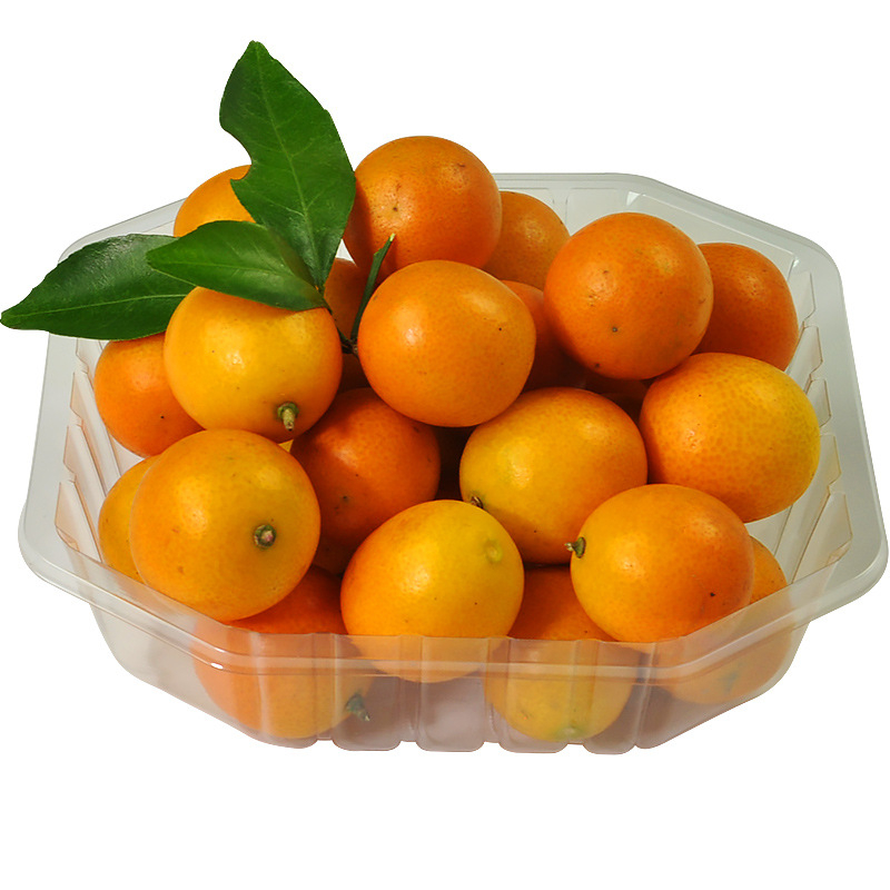 Еднократна PET плодова кутия без капак, модел 1813, PET материал, дебелина на стената 0.3 мм, вътрешен диаметър 120 мм