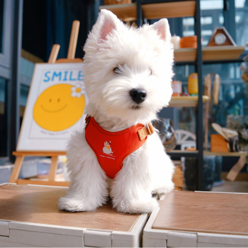 Кучешка жилетка с регулируема гръдна презрамка, плат